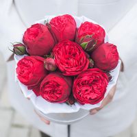 Пионовидные розы «Ред пиано» в белой коробке Small