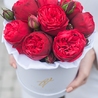 Пионовидные розы «Ред пиано» в белой коробке Small