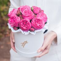 Пионовидные розы «Пинк пиано» в белой коробке Small