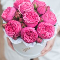 Пионовидные розы «Пинк пиано» в белой коробке Small