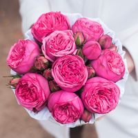 Пионовидные розы «Пинк пиано» в белой коробке Small