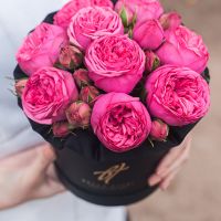 Пионовидные розы «Пинк пиано» в черной коробке Small