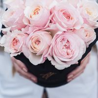 Пионовидные розы Остина «Кейра» в черной коробке Small