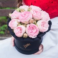 Пионовидные розы «Брайдл пиано» в черной коробке Small