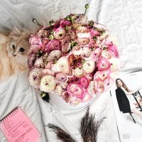 Разноцветные ранункулюсы в белой коробке Royal