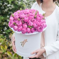 Пионовидная роза «Мисти баблс» в белой коробке Royal