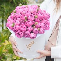 Пионовидная роза «Мисти баблс» в белой коробке Royal