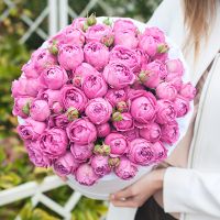 Пионовидная роза «Мисти баблс» в белой коробке Royal