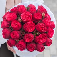 Пионовидная роза «Ред пиано» в белой коробке Royal