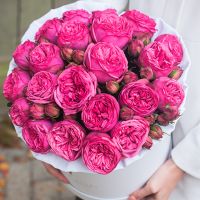 Пионовидная роза «Пинк пиано» в белой коробке Royal