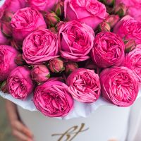 Пионовидная роза «Пинк пиано» в белой коробке Royal