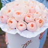 Пионовидные розы Остина «Джульет» в белой коробке Royal