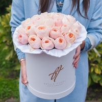 Пионовидные розы Остина «Джульет» в белой коробке Royal