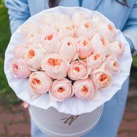 Пионовидные розы Остина «Джульет» в белой коробке Royal