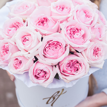 Пионовидные розы Остина «Миранда» в белой коробке Royal