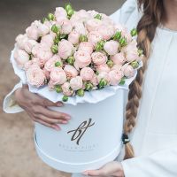Пионовидные розы «Бомбастик» в белой коробке Royal