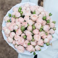 Пионовидные розы «Бомбастик» в белой коробке Royal