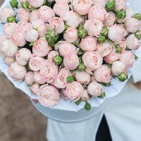 Пионовидные розы «Бомбастик» в белой коробке Royal