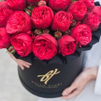 Пионовидные розы «Ред пиано» в черной коробке Royal