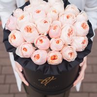 Пионовидные розы Остина «Джульет» в черной коробке Royal