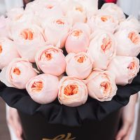 Пионовидные розы Остина «Джульет» в черной коробке Royal