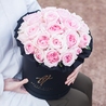 Пионовидные розы Остина «Миранда» в черной коробке Royal