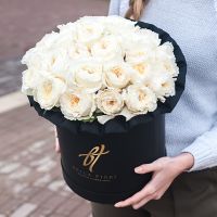 Душистые пионовидные розы Остина «Пейшнс» в черной коробке Royal