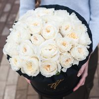 Душистые пионовидные розы Остина «Пейшнс» в черной коробке Royal