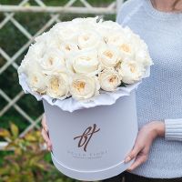 Душистые пионовидные розы Остина «Пейшнс» в белой коробке Royal