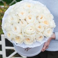 Душистые пионовидные розы Остина «Пейшнс» в белой коробке Royal