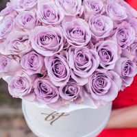 Сиреневые розы в белой коробке Royal