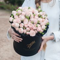 Пионовидные розы «Бомбастик» в черной коробке Royal