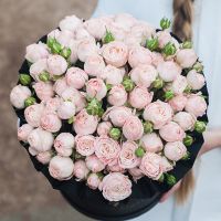 Пионовидные розы «Бомбастик» в черной коробке Royal