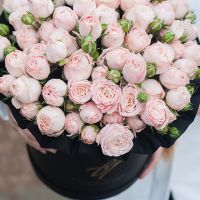 Пионовидные розы «Бомбастик» в черной коробке Royal