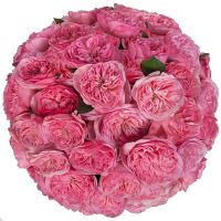 Букет крупных пионовидных роз «Мария Терезия»