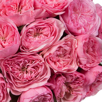 Букет крупных пионовидных роз «Мария Терезия»