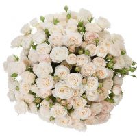 Букет из пионовидных роз «Герцогиня»