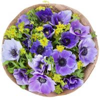 Букет из анемонов «Дуновение»  