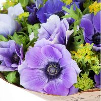 Букет из анемонов «Дуновение»  