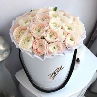 Нежно-розовые ранункулюсы в белой коробке Royal