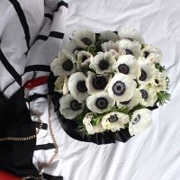 Белые анемоны в черной коробке Royal  