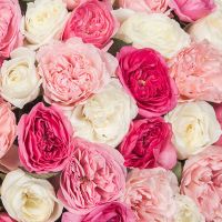 Корзина из пионовидных роз «Незабываемое впечатление»