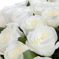 Букет из 49 роз «Alabaster»