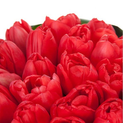 Сердце из тюльпанов и роз «Нескончаемая страсть»