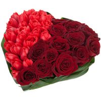 Сердце из тюльпанов и роз «Нескончаемая страсть»