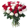 51 роза: красная и белая