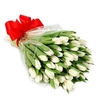 Букет «51 белый тюльпан»
