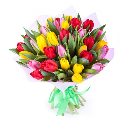 Букет из 51 тюльпана «Все краски весны»
