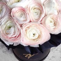 Нежно-розовые ранункулюсы в черной коробке Royal