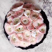 Нежно-розовые ранункулюсы в черной коробке Royal